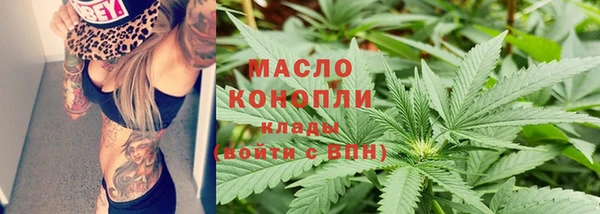 хмурый Дмитровск