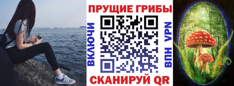 купить закладку  Богучар  Псилоцибиновые грибы Psilocybe 